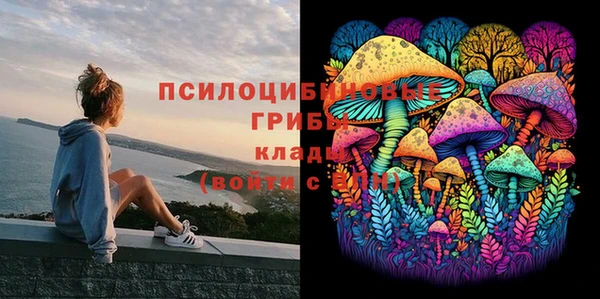 МДПВ Володарск